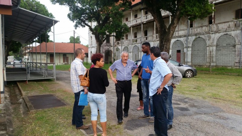 Mobilisation des Auto-Ecoles : la Collectivité Territoriale de Guyane débloque la situation