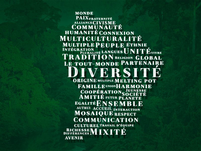 La diversité : Une richesse de la Guyane - Collectivité ...