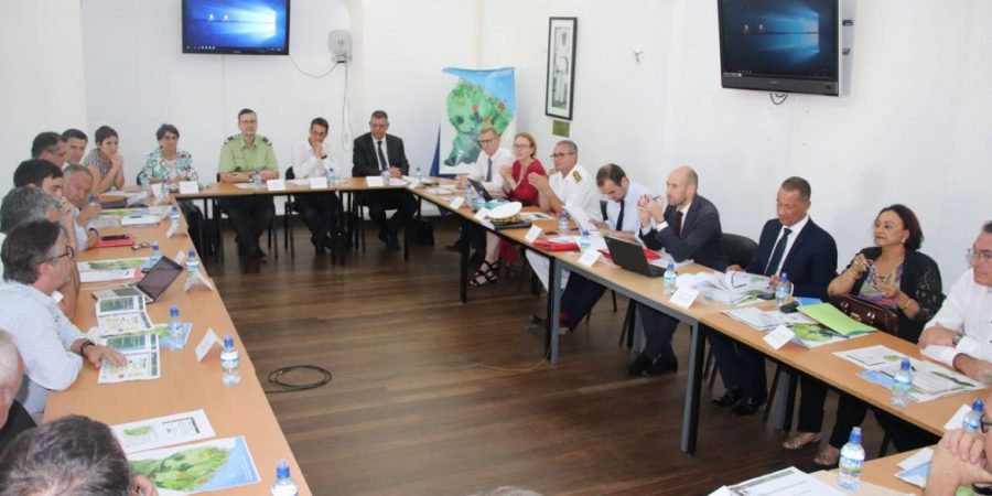 Visite en Guyane de Sébatien Lecornu : le Président de la CTG participe au Comité sur la filière bois