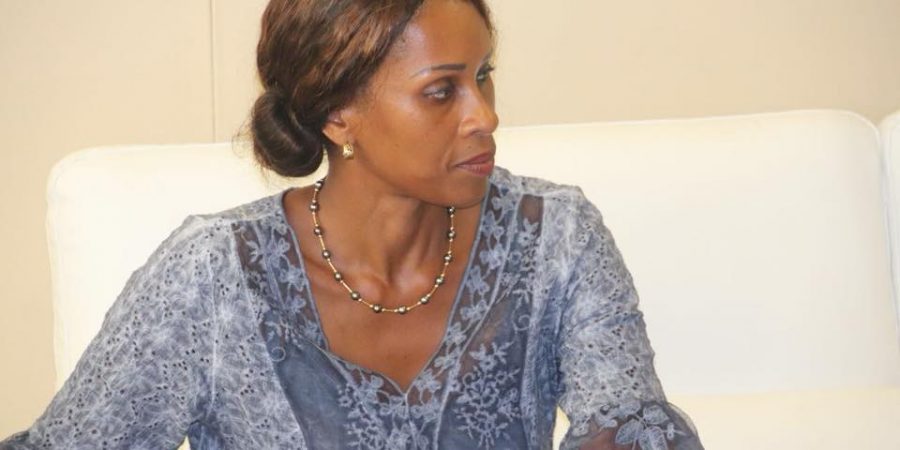 NUMÉRIQUE : rencontre entre le Président de la CTG et  les représentants d'Orange 6