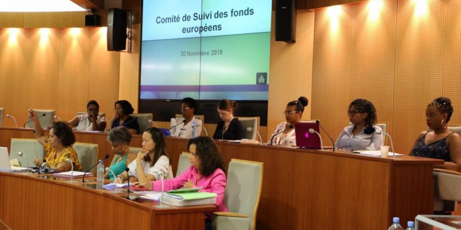FONDS EUROPÉENS : l'avancement des programmes de financement  européen pour la Guyane analysé  en Comité de suivi à la CTG 6