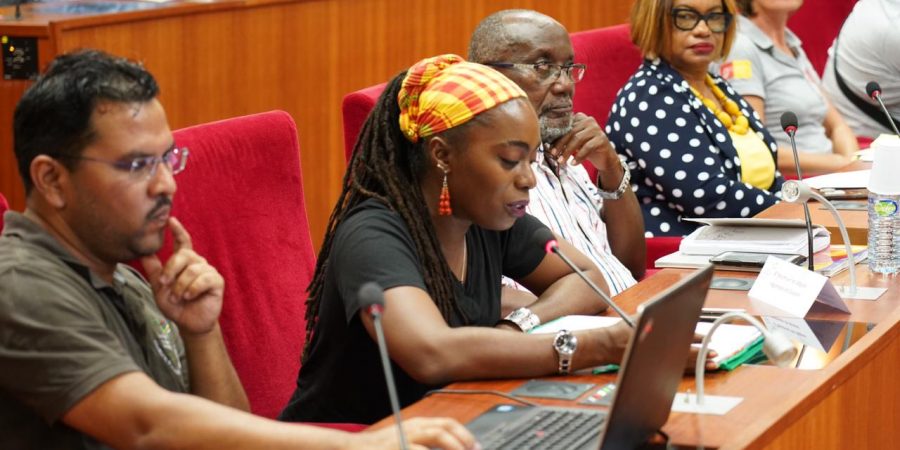 Forum des langues régionales de la CTG 4