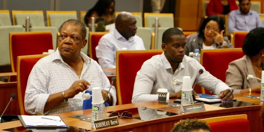 L’Assemblée de Guyane a adopté ce mercredi 20 mars, 2019 le budget primitif de la Collectivité Territoriale de Guyane s’élevant à 560 990 989,62 euros, qui se décompose en termes de mouvements réels en une section de fonctionnement de 379 286 041,80 euros et une section d’investissement de 97 647 634,68 euros.  5