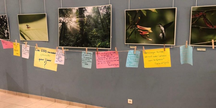 WhatsApp Image 2019-06-29 at 20.13.20 (1)