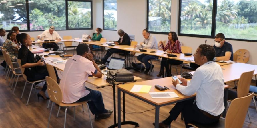Réunion sur le projet de mise en place d’un fonds d’urgence économique des territoires de Guyane 15