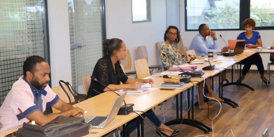 Réunion sur le projet de mise en place d’un fonds d’urgence économique des territoires de Guyane 12