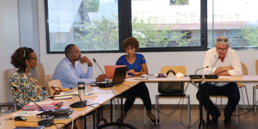 Réunion sur le projet de mise en place d’un fonds d’urgence économique des territoires de Guyane 11