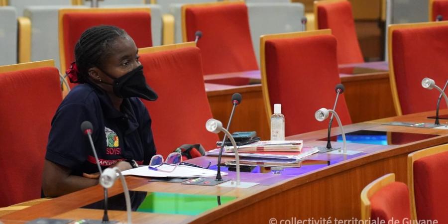 Réunions du Comité Technique du SDIS et du Comité consultatif départemental des sapeurs-pompiers volontaires du SDIS de Guyane 7