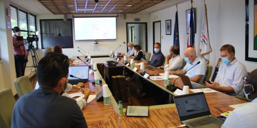 Comité scientifique territorial du 20 juillet 2020 2