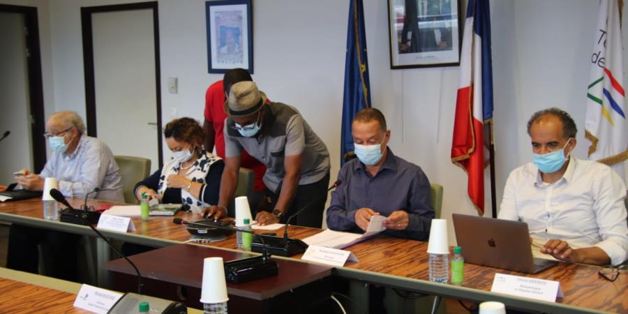 Comité scientifique territorial du 20 juillet 2020 13