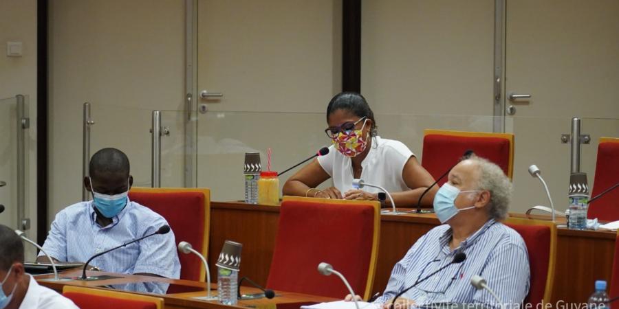 [Assemblée Plénière du mardi 21 juillet 2020] 7