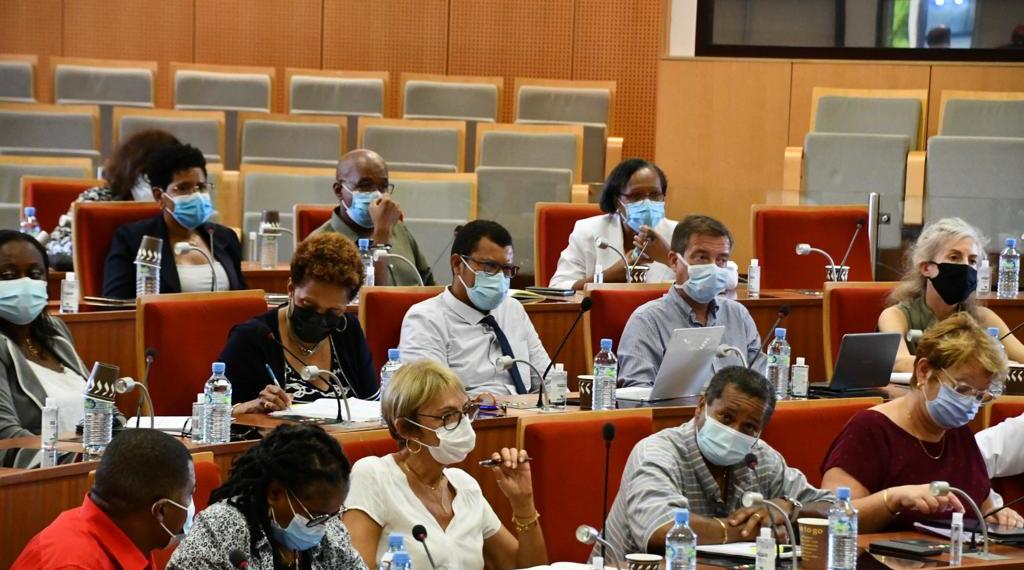 Réunion annuelle principale