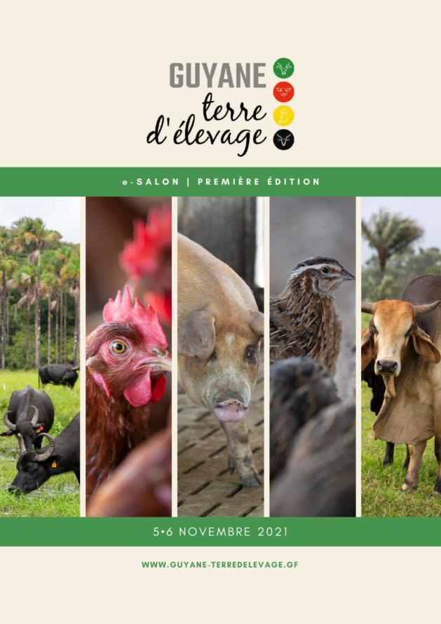 La CTG accueille le 1er E-salon de lu0027élevage « Guyane Terre d