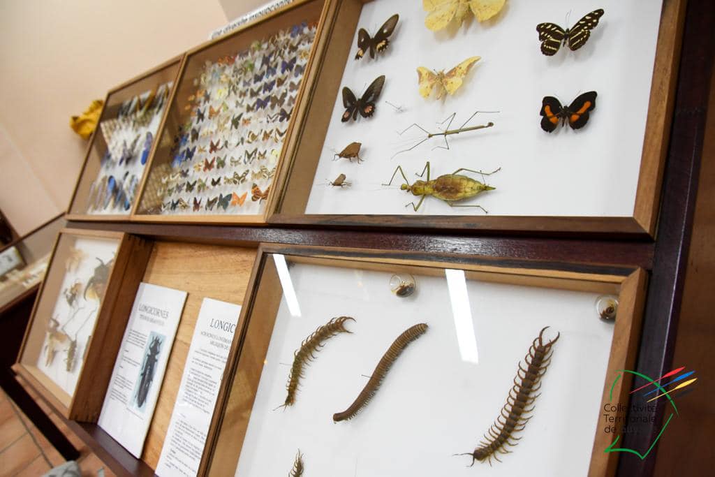 297325294_7823359237705596_7266891295402698758_n