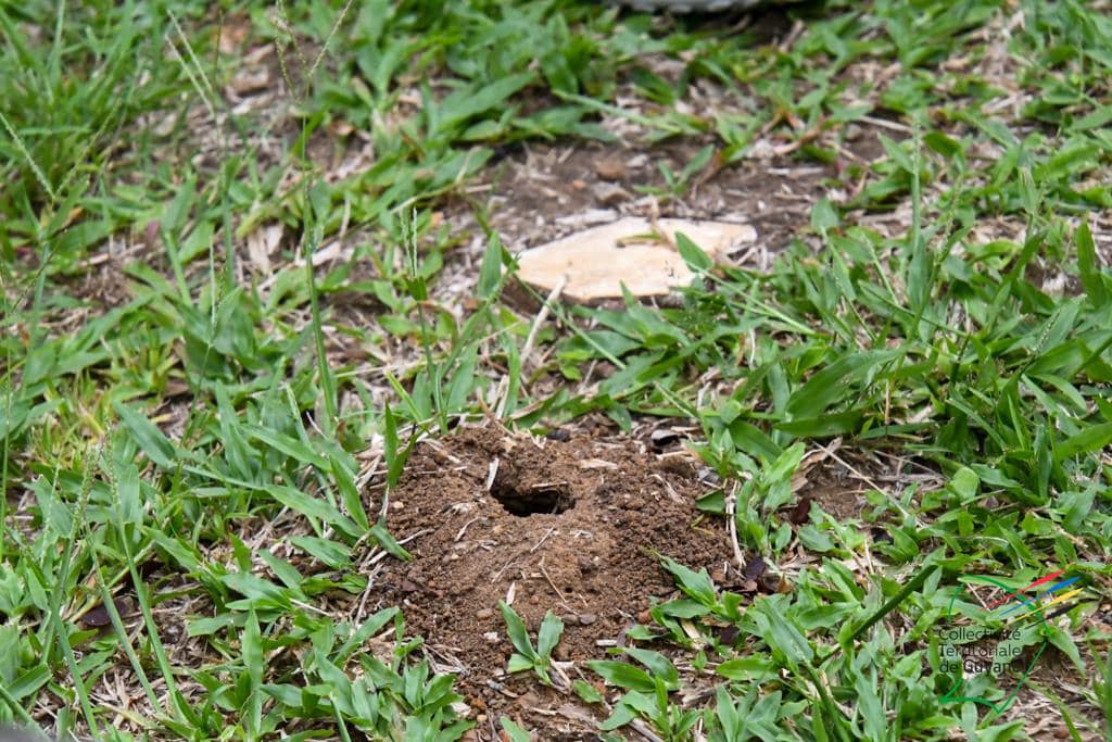 297367654_7823358587705661_2700752797595782127_n