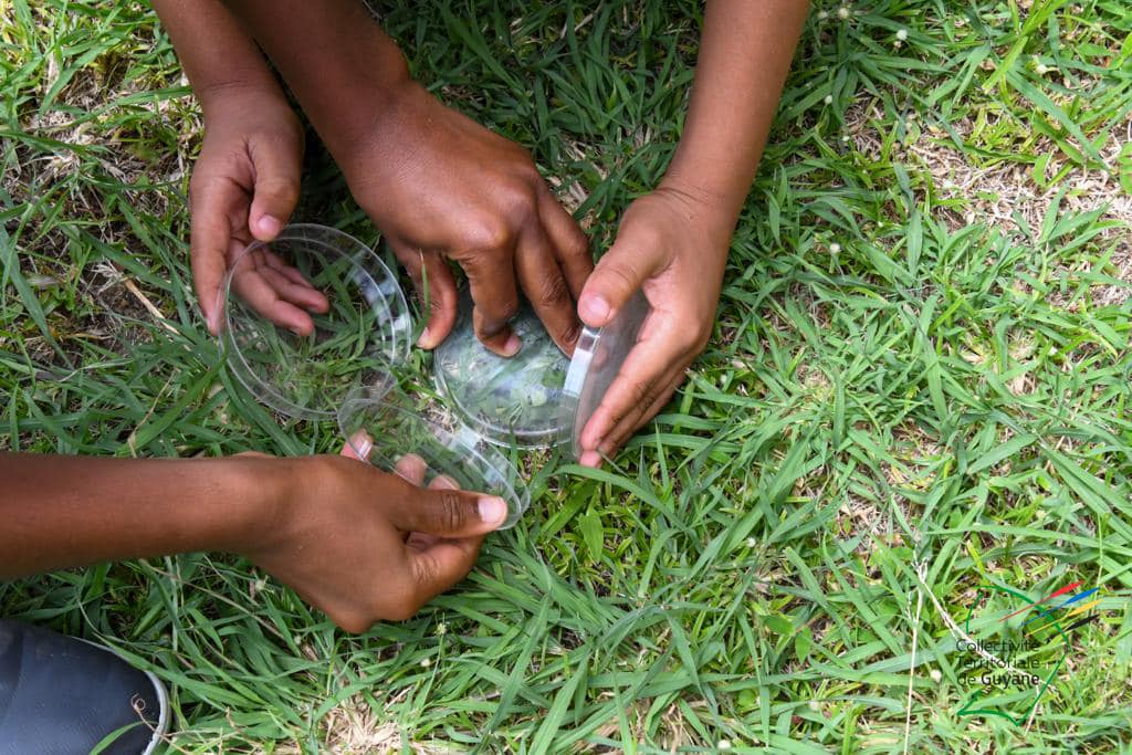 297763515_7823359547705565_7878526206963520000_n