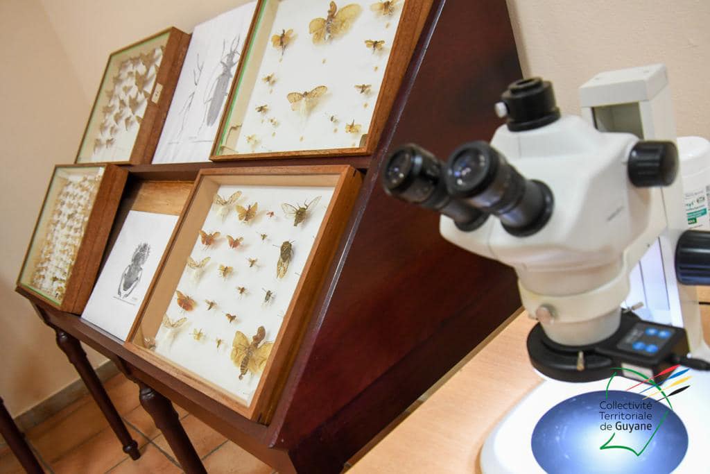 298436835_7823360387705481_2149628450955159133_n