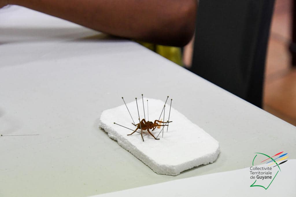 298467286_7823359014372285_2970959097267076274_n