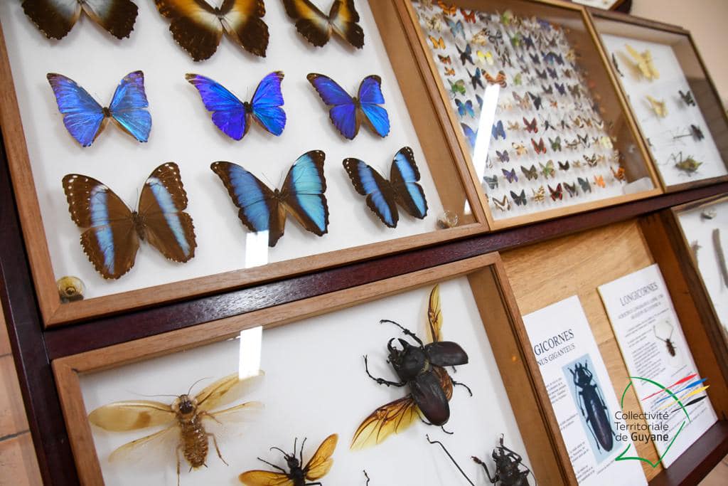 298590730_7823357431039110_5678654942801902552_n