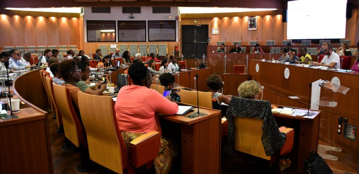 [FORMATION-INSERTION PROFESSIONNELLE] La Collectivité Territoriale de Guyane organisait le 1er séminaire territorial du service public régional de l’orientation de Guyane