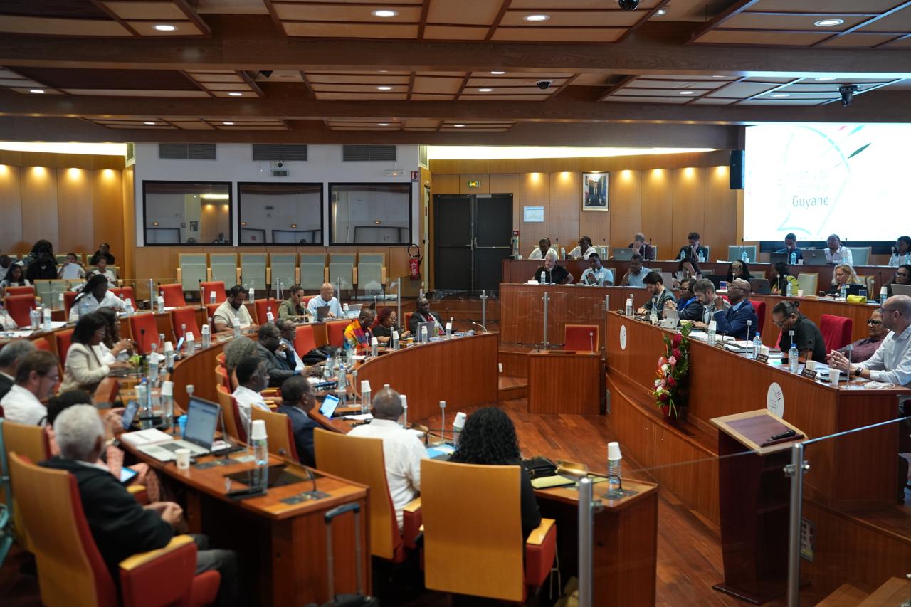 WhatsApp Image 2025-12-18 at 14.54.56