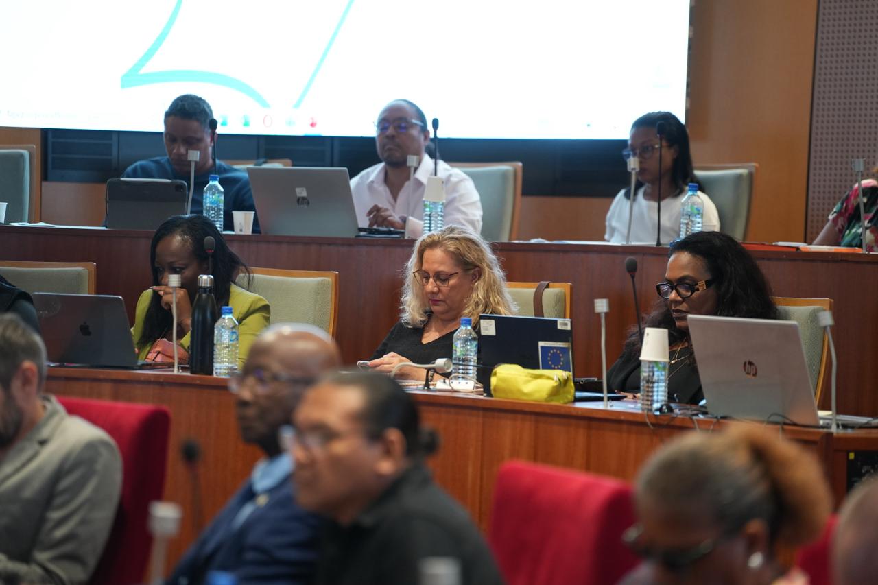 WhatsApp Image 2025-12-18 at 14.54.59