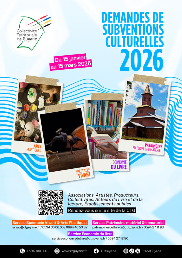 DG DDAST - Affiche Pôle CPI - Demande de subventions culturelle